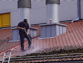 Entfernen von starkem Bewuchs eines Daches in Schwabmünchen.
